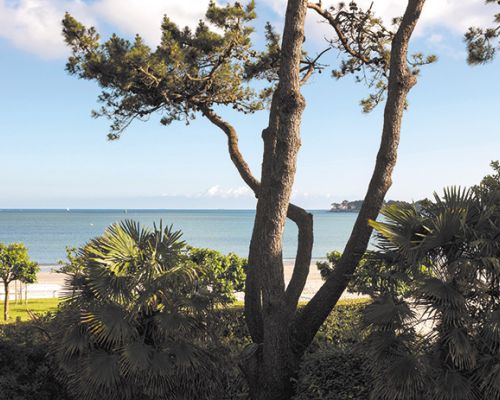 vue sur pinède de la Baule avec plage en arrière plan