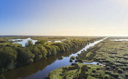 Photo aérienne du parc régional de la Brière près de La Baule