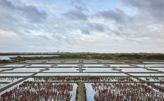 Photo des marais salants de Guérande près de la Baule