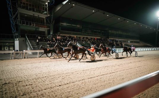 photo du nuit dans l'hippodrome de Pornichet à l'occasion d'une course hippique pour une entreprise