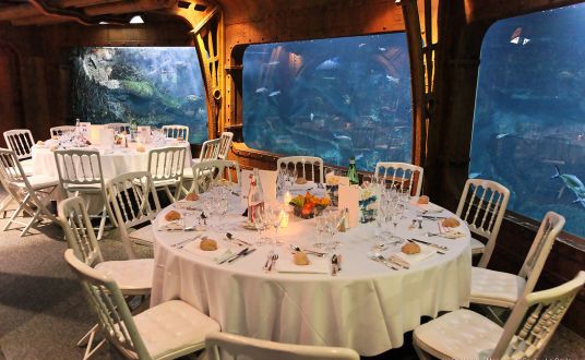 Photo de l'intérieur de l'Ocearium au Croisic- dans la salle de réception organisée devant les bassin de l'aquarium pour une entreprise lors d'un dîner