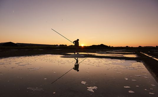 Photo d'un homme au couché du soleil en train de récolter le sel dans les marais salants de Guérande