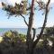 vue sur pinède de la Baule avec plage en arrière plan