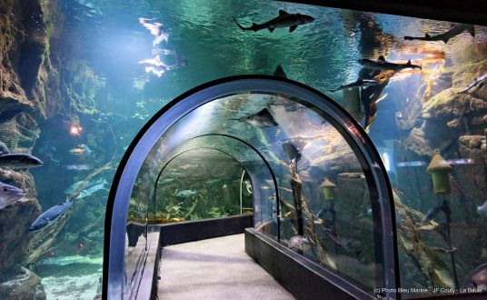 Vue de l'aquarium sous l'arche de lPhoto de l'intérieur de l'Ocearium au Croisic