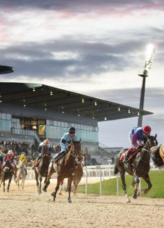 Course hippique à l'hippodrome de Pornichet