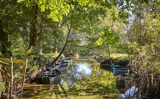 Photo d'un canal avec des barques au coeur du parc régional de la Brière près de La Baule